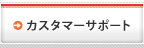 �J�X�^�}�[�T�|�[�g