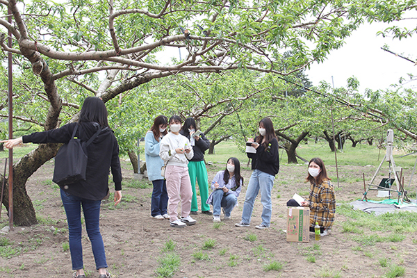 2023年4月22日（土）山梨県笛吹市の桃圃場 視察の様子