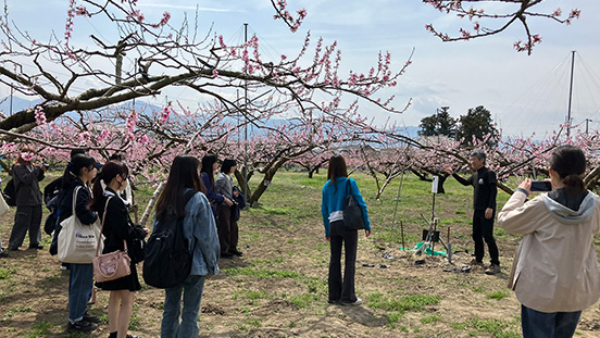 2025年4月 第1回講義:桃の花が咲く春日居町の桃圃場でフィールドワークを実施